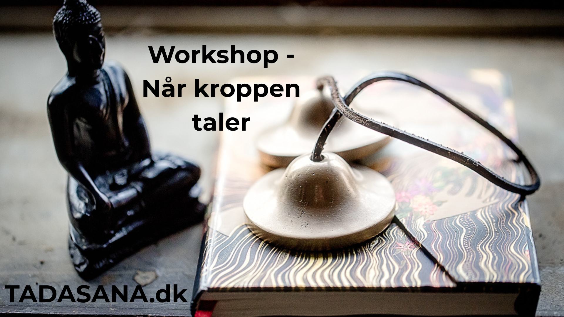 Når kroppen taler - workshop 8. nov. 2026